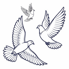 Three elegant white doves depicted in a simple outline drawing style in flight against a white background