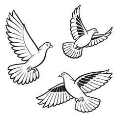 Three stylized black and white line art doves in flight with spread wings and tails on a white background