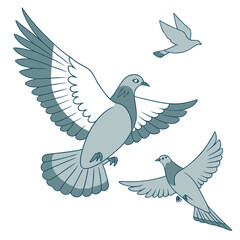 Three stylized pigeons in flight with wings spread against a white background in a simple graphic illustration