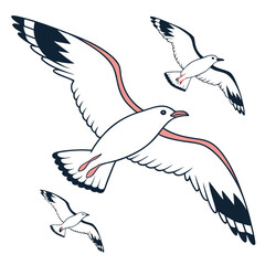 Three stylized white seagulls with dark wingtips and pink accents in graceful flight against a white background