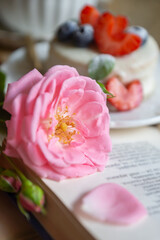 A cup of aromatic tea, a book and a rose on the table.