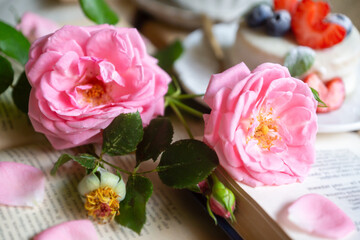 A cup of aromatic tea, a book and a rose on the table.