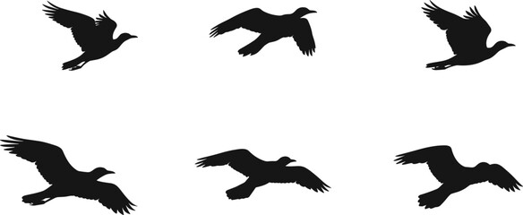 Bird in flight silhouette vector set, black winged motion illustrations for nature design, wildlife art, freedom concept, and minimal sky decor