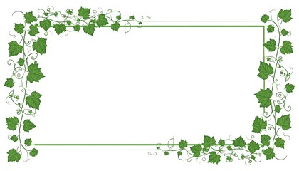 Green vine border on white background