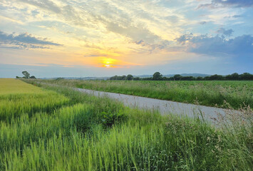Summer sunset sky over Danish country side landscape with fields of crops