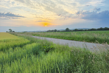 Summer sunset sky over Danish country side landscape with fields of crops