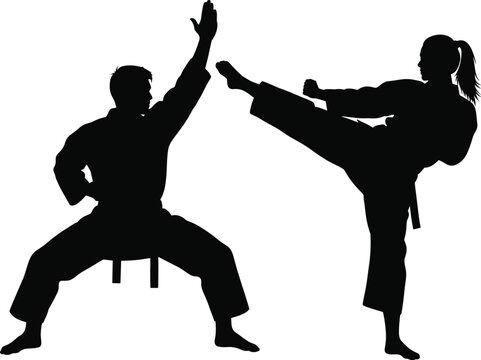 Martial arts silhouette illustration, black-and-white depiction of high kick and seated stance for training, discipline, action, and character design themes
