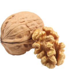 walnut on white background