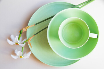 Set of light green empty dinnerware with daffodil flowers. Light background. Top view.