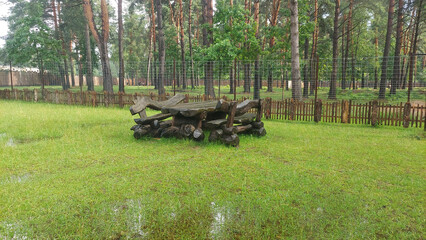 Wooden picnic table surrounded by trees in a green open field after rain in a tranquil outdoor setting