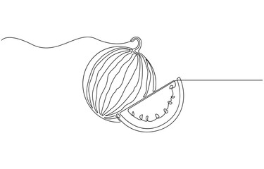 Continuous one line drawing water melon fruit. juicy summer fruit concept, watermelon. modern minimalist art,  decorative elements drawn on a transparent background.