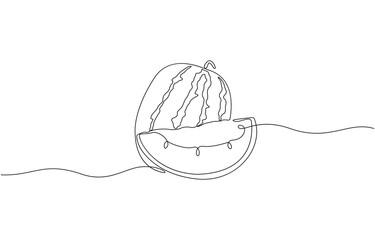 Continuous one line drawing water melon fruit. juicy summer fruit concept, watermelon. modern minimalist art,  decorative elements drawn on a transparent background.