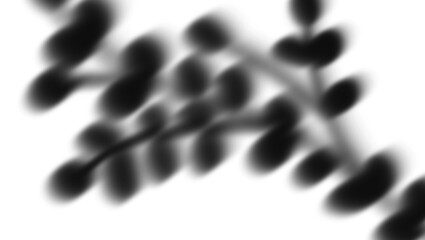 Abstract blurred dark plant branches against a white background
