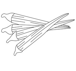 Cute cartoon hand drawn vector lady finger outline.