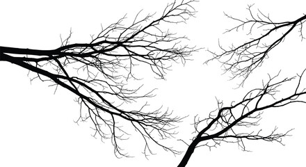 Bare tree branches, abstract nature art, winter silhouette, black and blue lines, minimalist design, seasonal texture, botanical illustration, modern background