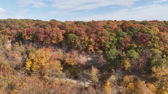 fall foliage drone perspective in the woods
