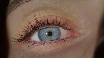 Obraz premium Detailed view of a woman eye showcasing its blue iris and long eyelashes under soft lighting.