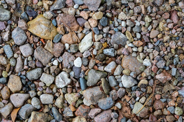 Rugged Stone Shoreline at a Serene Lakeside Beach