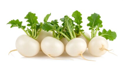 White Turnips on White Background (1)