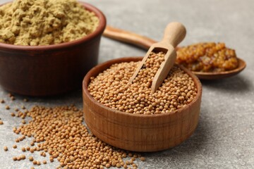 Different types of mustard on light grey table, closeup