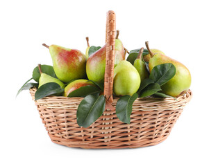 Fresh ripe pears with green leaves in wicker basket isolated on white