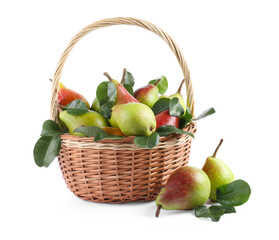 Fresh ripe pears with green leaves in wicker basket isolated on white