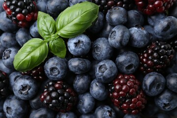 Different ripe juicy berries and basil as background, closeup