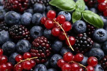 Different ripe juicy berries and basil as background, closeup