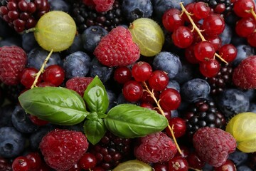 Different ripe juicy berries and basil as background, closeup