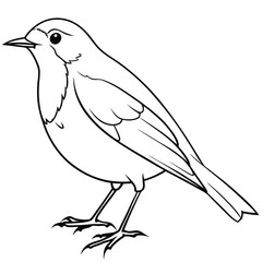 Obraz premium beautiful mocking bird 