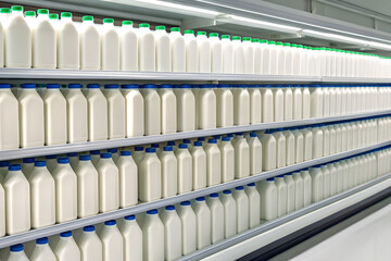 Rows of milk bottles on shelves isolated on white background