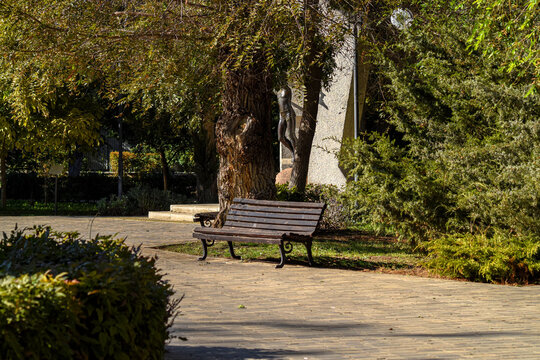 Park bench under trees in shade. Empty wooden park bench in shaded alley surrounded by green trees on sunny day.