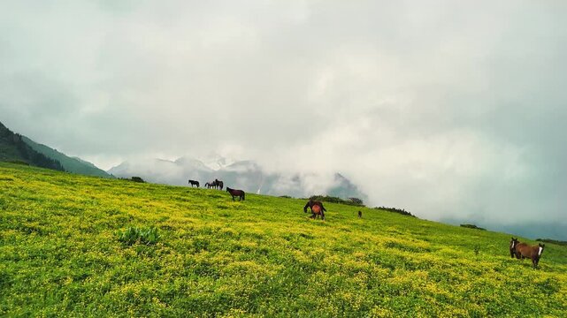 Aerial Mountains landscape and herd of horses in Kazakhstan