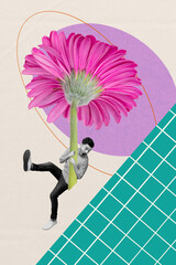 Exclusive image art pop trend collage of happy guy fly chrysanthemum flower bloom spring season surprise plant occasion nature