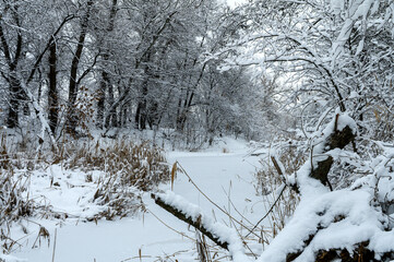Frozen river and snow-covered trees in Eastern Ukraine