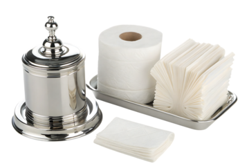 Toilet paper roll and tissues silver holder design