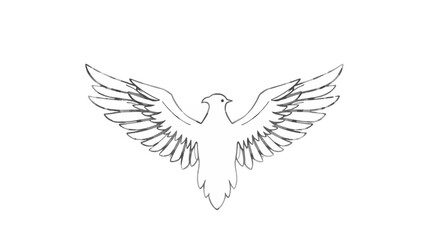 Line drawing of a bird with outstretched wings, viewed from the front, centered on a white background.