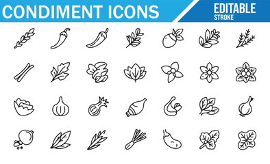 Modern vector illustration of condiments and seasonings with organic herbs, roots, spices, and leaves