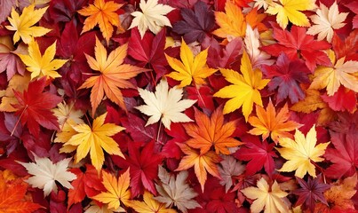 Vibrant Autumn Maple Leaves Creating a Rich, Textured Tapestry of Colors and Nature