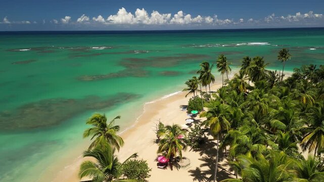 Drone capture of Punta Popy Beach &mdash; tropical palms, clean sand, and bright ocean colors. Perfect for airline and cruise promos