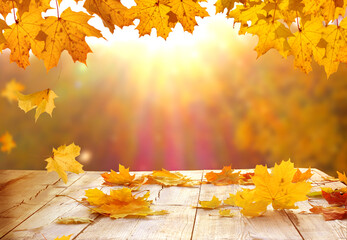 Autumn maple  golden leaves on wooden  table. Falling leaves natural background.