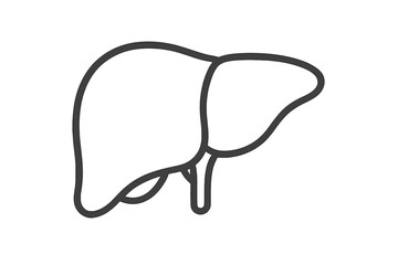 Liver icon human organ anatomy symbol. Vector line art illustration for hepatology, gastroenterology, and digestive system health. Medical, healthcare, and science concept.