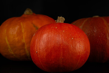 Moody Studio Shot of Fall Gourds