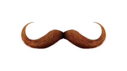3D realistic moustache hair style design on white background
