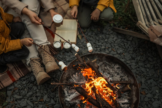 People roasting marshmallows over a campfire