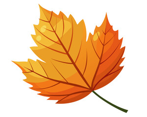 autumn leaf  icon,autumn leaf vector on white background