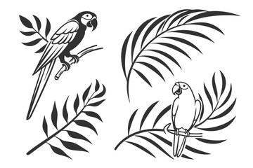 Naklejka premium birds on a branch