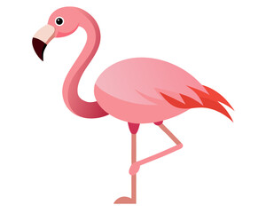 Pink flamingo  icon,Pink flamingo vector on white background