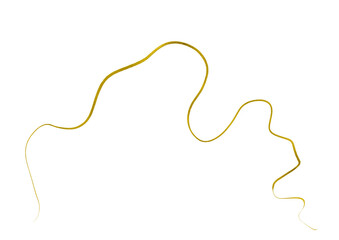 Gold Curve Wave Line