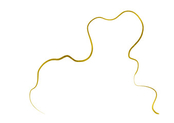 Gold Curve Wave Line